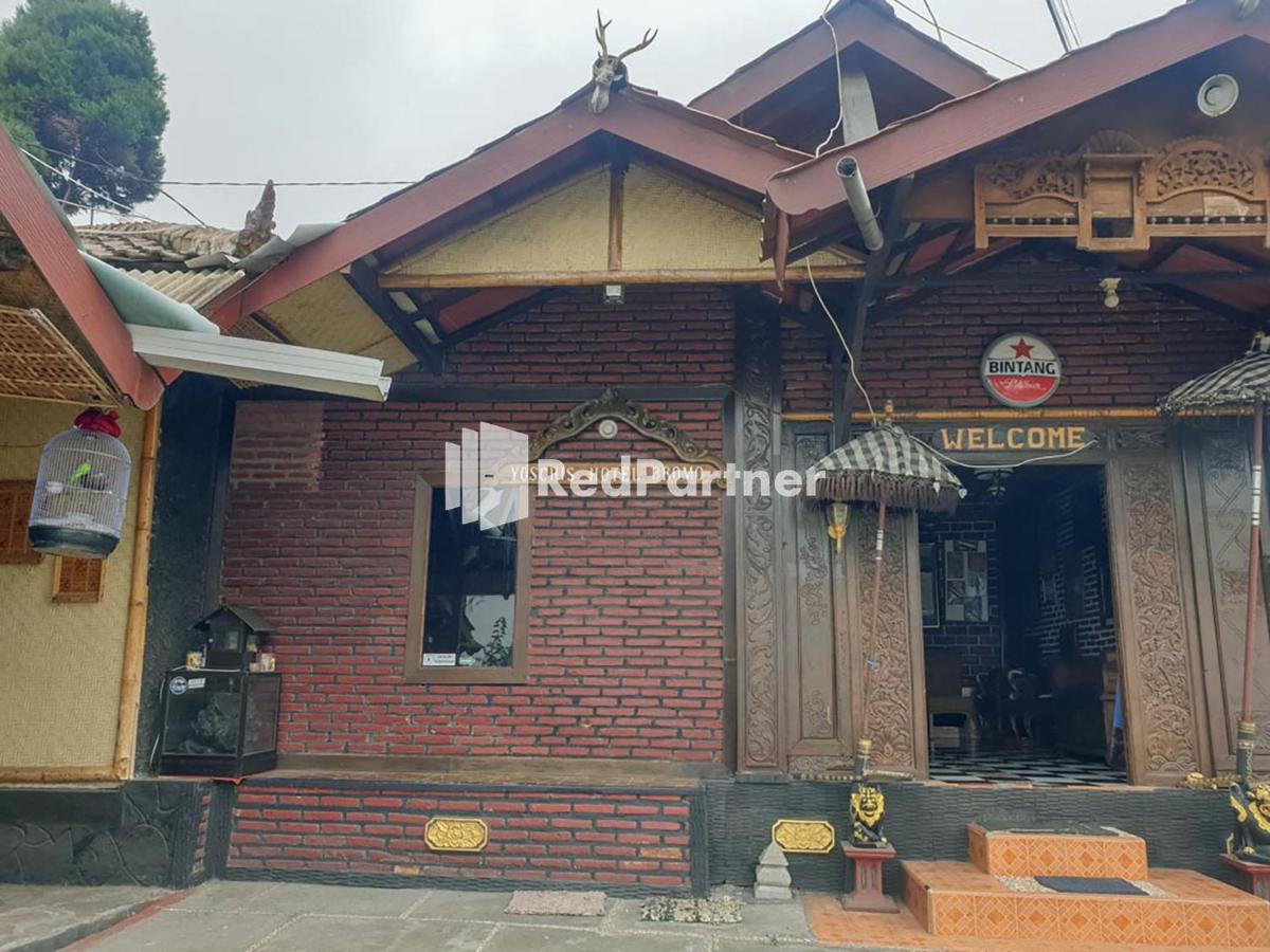 Hotel Yoschi's Bromo at Desa Wisata Bromo Ngadisari Bagian luar foto