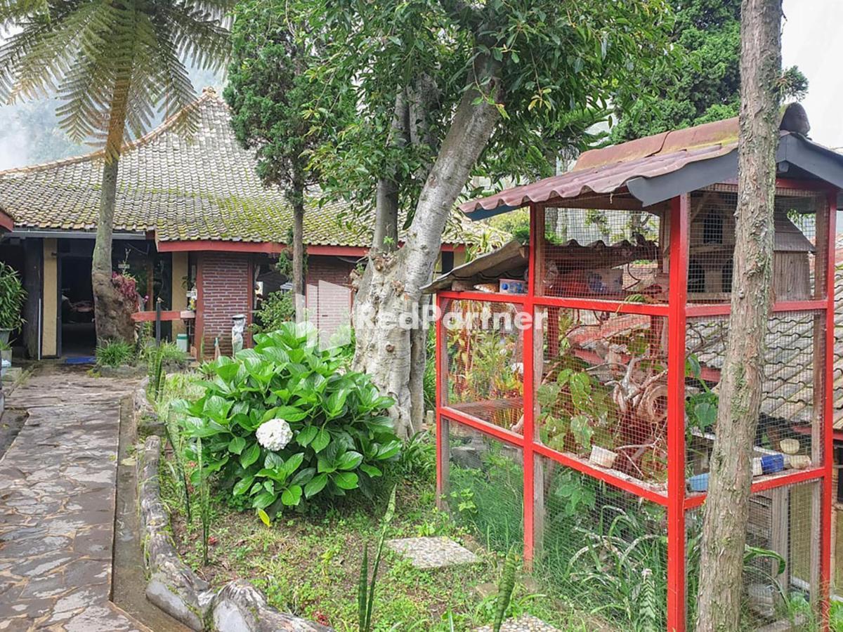 Hotel Yoschi's Bromo at Desa Wisata Bromo Ngadisari Bagian luar foto