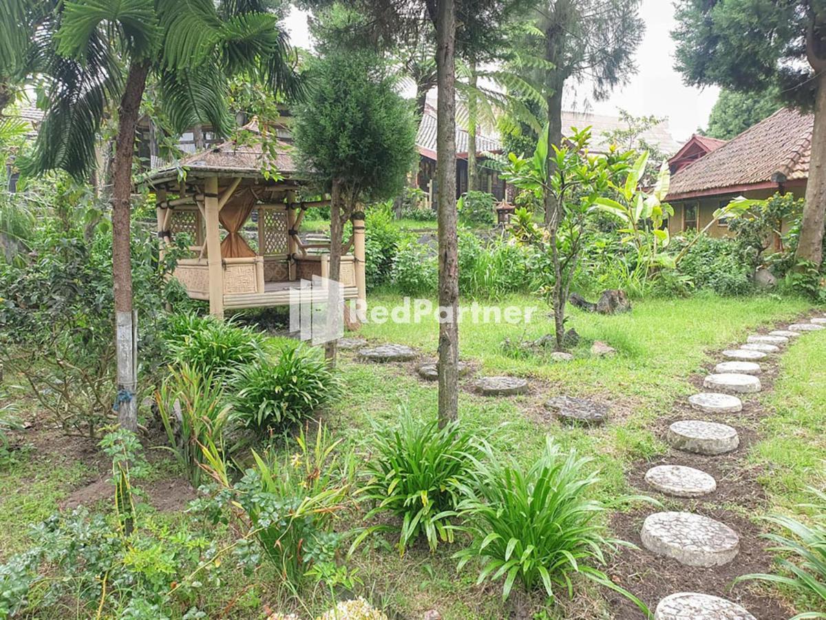 Hotel Yoschi's Bromo at Desa Wisata Bromo Ngadisari Bagian luar foto
