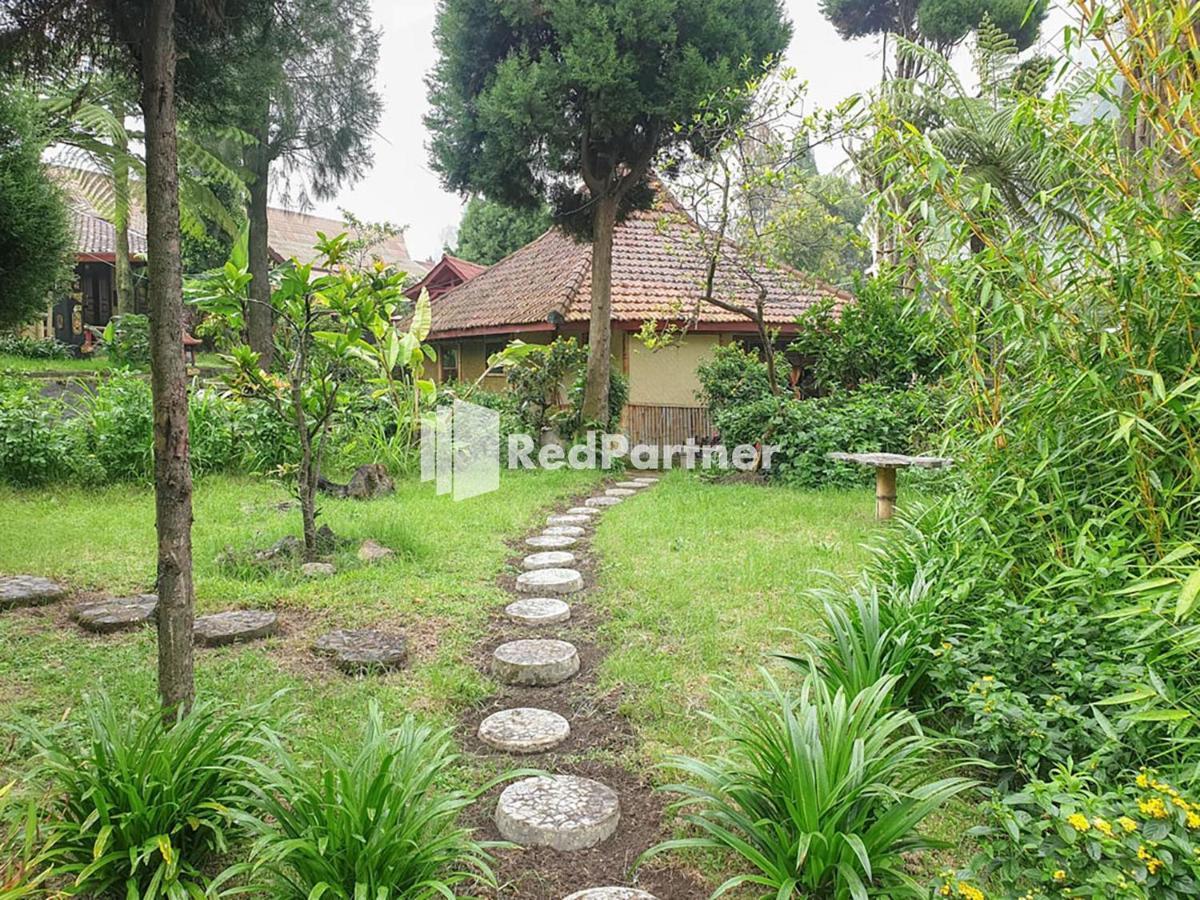 Hotel Yoschi's Bromo at Desa Wisata Bromo Ngadisari Bagian luar foto